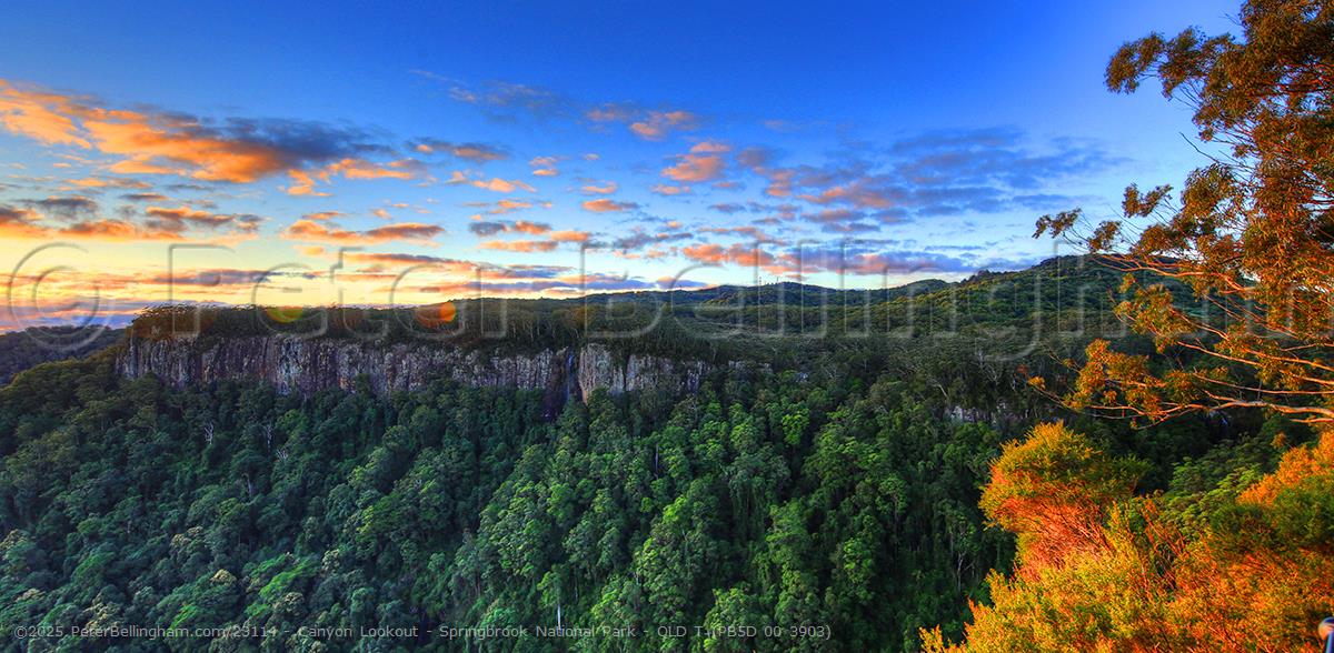 Peter Bellingham Photography Canyon Lookout - Springbrook National Park - QLD T (PB5D 00 3903)
